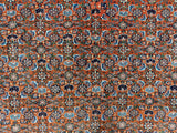 Bidjar, 251x250 cm, Wool, India