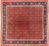 Bidjar, 251x250 cm, Wool, India